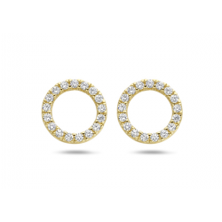 BLUSH OORKNOPPEN CIRKEL MET ZIRKONIA 9066YZI - 256144