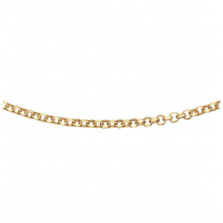 JACKIE GOUDEN MENTON NECKLACE 585 45cm JKN25.504 - 258554