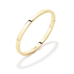 GLOW GOUDEN BANGLE ZILVEREN KERN VIERKANT 4X60 MM 204.2564.62 - 259298