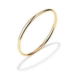 GLOW GOUDEN BANGLE ZILVEREN KERN OVAAL 4X60 MM 204.2464.62 - 259299