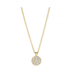 BLUSH GOUDEN COLLIER MET ZIRKONIA 3206YZI - 259404