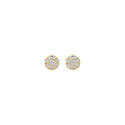 BLUSH GOUDEN OORKNOPPEN MET ZIRKONIA 7396YZI - 259406
