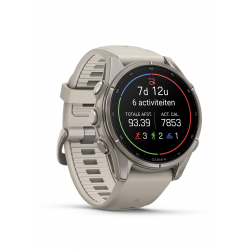 GARMIN FENIX 9 FOG GRAY 43MM 010-04761-01 - 259666