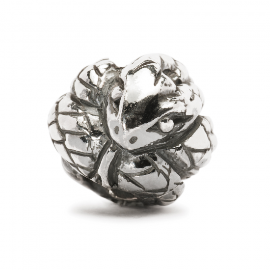 TROLLBEADS BEDEL ZILVER CHINESE SLANG TAGBE-40025 - 39116