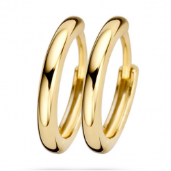 BLUSH OORKNOPPEN 7233YGO - 47344