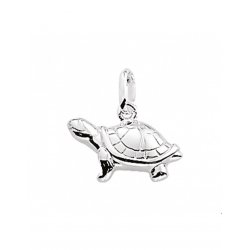 ZILVER HANGER SCHILDPAD 1003899 - 48527