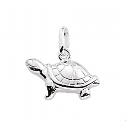 ZILVER HANGER SCHILDPAD 1003899 - 48527