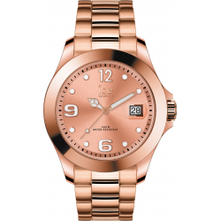 ICEWATCH ICE STEELSILVER SMALL IW017321 - 48820