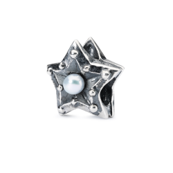TROLLBEADS BEDEL STER VAN WIJSHEID TAGBE-00218 - 50632