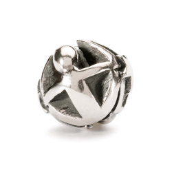 TROLLBEADS BEDEL TWEELINGEN TAGBE-30107 - 50671